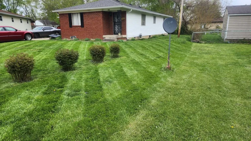 Reliable lawn care service in Indianapolis, IN by Bad Boyz Lawn Maintenance