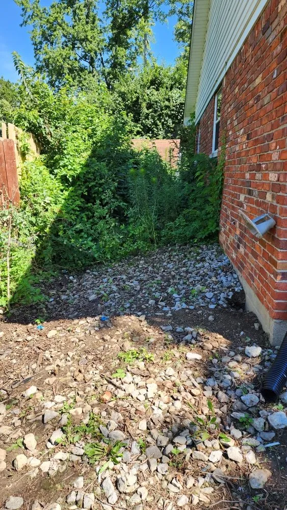 Trusted landscape installation for outdoor upgrades in Indianapolis, IN by Bad Boyz Lawn Maintenance