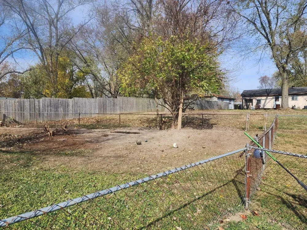 Trusted yard cleanup service in Indianapolis, IN by Bad Boyz Lawn Maintenance