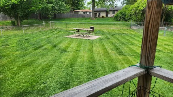 Bad Boyz Lawn Maintenance Logo