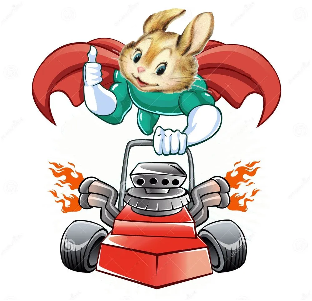 Reliable yard maintenance for year-round maintenance across Tyrone, PA - Bad Bunny Lawn and Yard