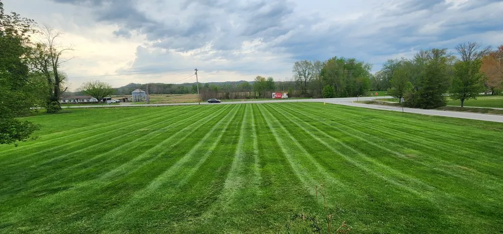 Local yard cleanup service for residential properties in New Salisbury, IN by Bad Dad Lawncare