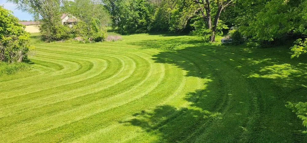 Trusted landscaping services in New Salisbury, IN - Bad Dad Lawncare