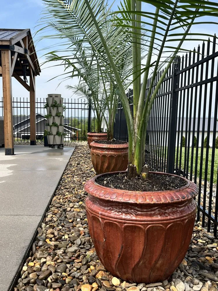 Trusted landscaping services in Fountain Inn, SC by Bad Daddy Lawns