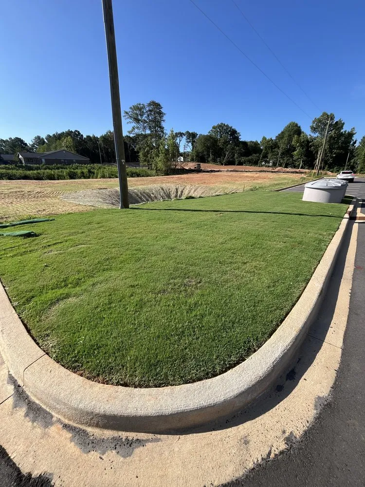 Affordable landscape design for outdoor upgrades in Fountain Inn, SC by Bad Daddy Lawns