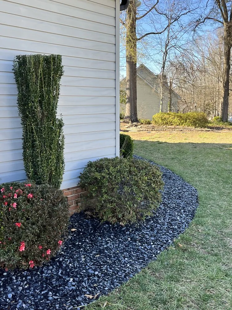 Professional yard cleanup service in Fountain Inn, SC - Bad Daddy Lawns