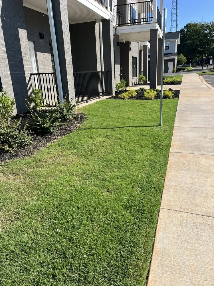 Trusted outdoor landscaping experts serving Fountain Inn, SC - Bad Daddy Lawns