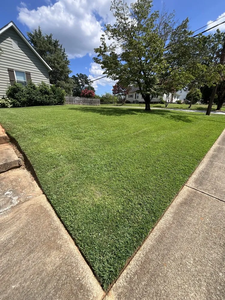 Local landscape installation experts serving Fountain Inn, SC - Bad Daddy Lawns
