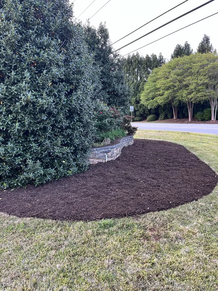 Expert yard maintenance in Fountain Inn, SC by Bad Daddy Lawns