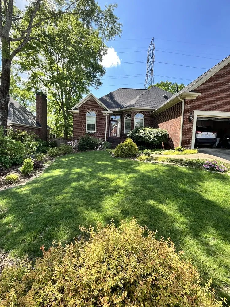 Affordable outdoor landscaping in Fountain Inn, SC - Bad Daddy Lawns