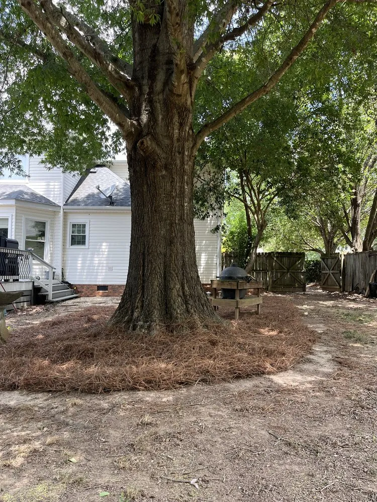 Affordable garden landscaping experts serving Fountain Inn, SC - Bad Daddy Lawns