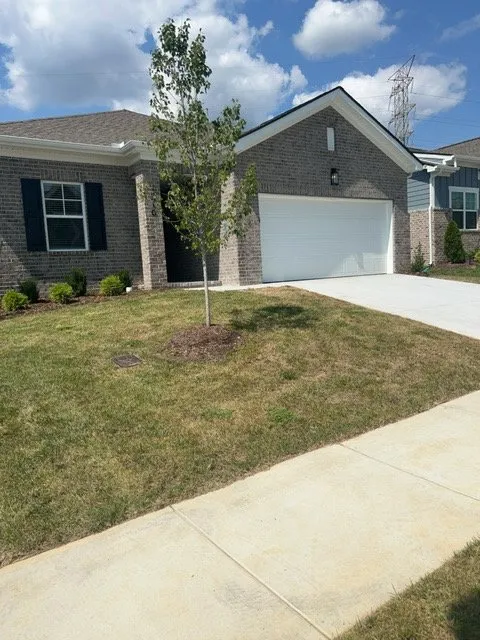 Reliable landscape design in Nashville, TN by Bad Dawg Lawn Care