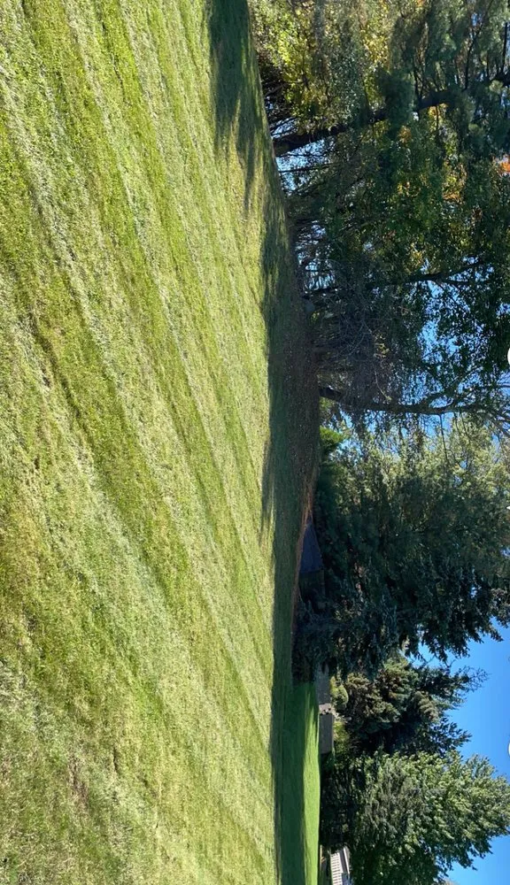 Top-rated landscaping services in Hudson, OH by Bad dog landscape