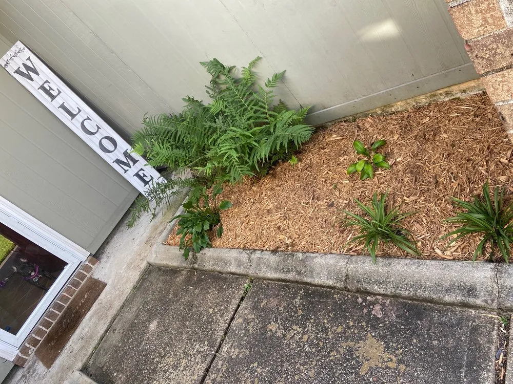 Top-rated lawn mowing service with custom design across Slidell, LA - Bad Dog Lawn Care