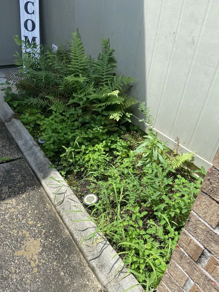 Trusted yard maintenance for residential properties in Slidell, LA by Bad Dog Lawn Care