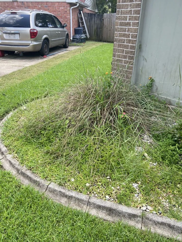 Local lawn mowing service in Slidell, LA by Bad Dog Lawn Care