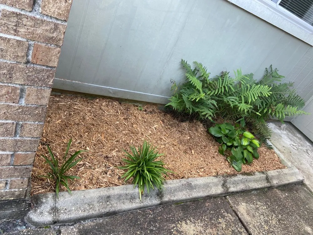 Top-rated lawn care service experts serving Slidell, LA - Bad Dog Lawn Care