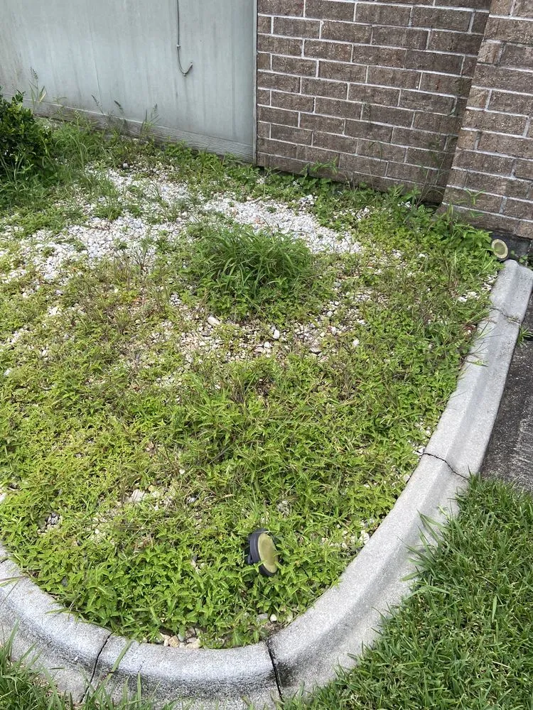 Professional residential landscaping in Slidell, LA by Bad Dog Lawn Care