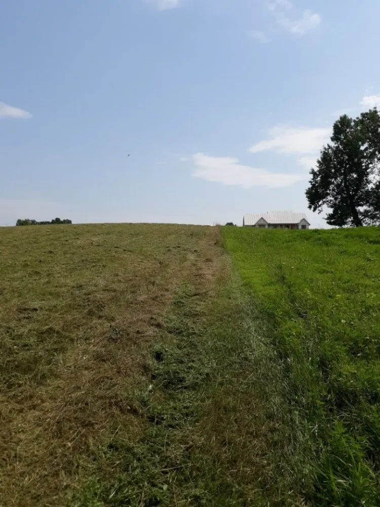 Top-rated landscaping services in Dickson, TN by Bad Grass Mowing