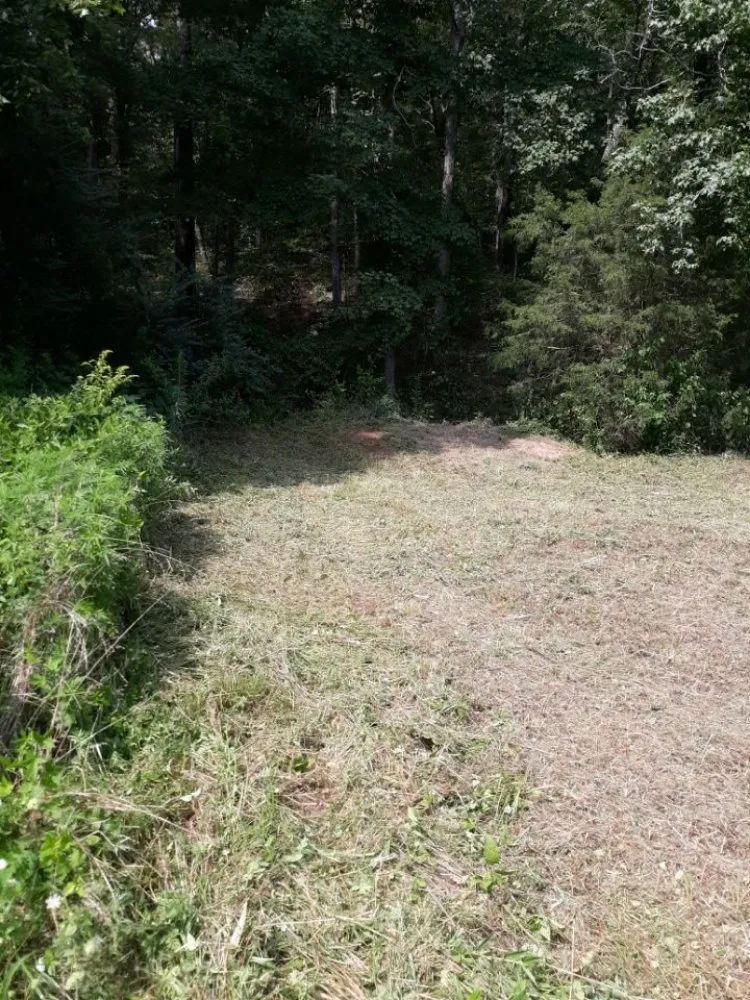 Trusted yard maintenance in Dickson, TN - Bad Grass Mowing