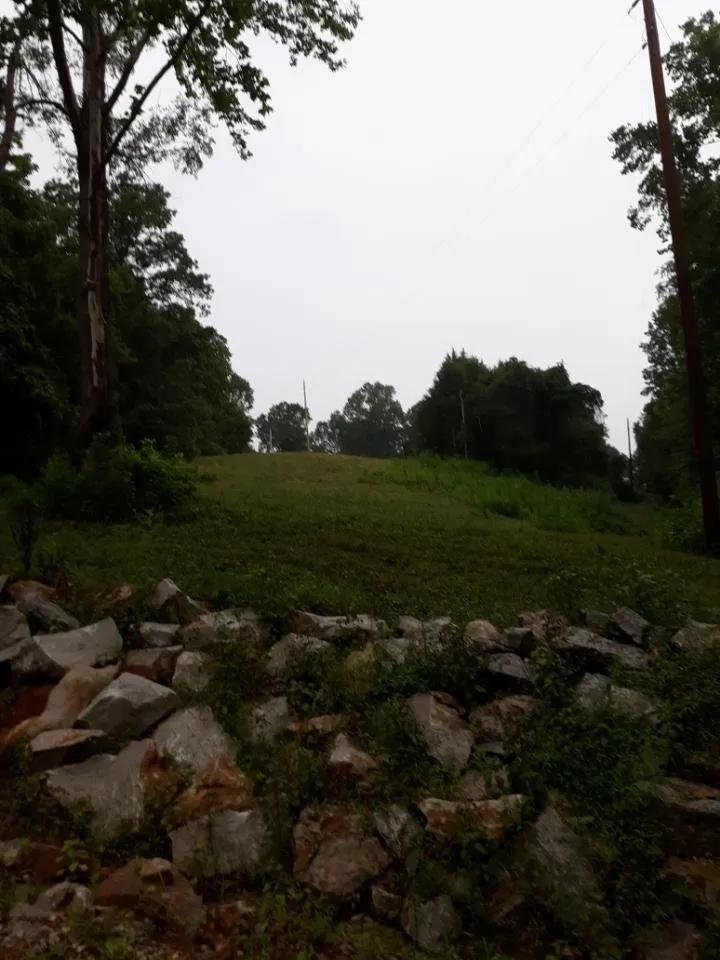 Top-rated yard cleanup service experts serving Dickson, TN - Bad Grass Mowing