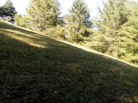 Bad Grass Mowing Logo