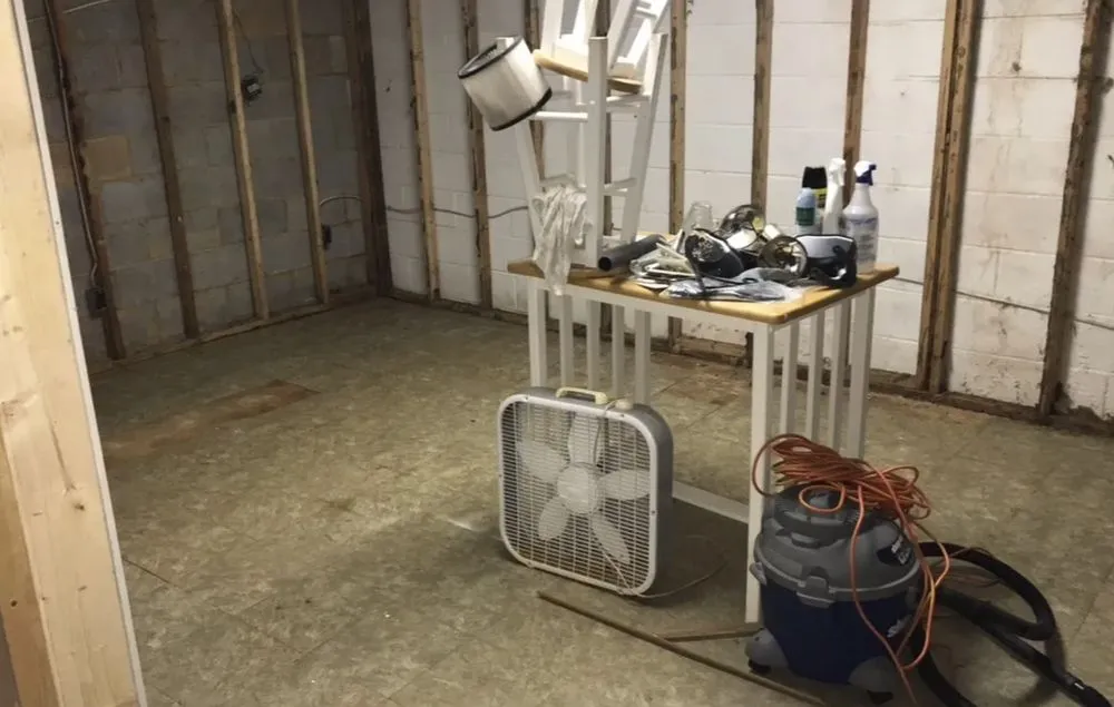 Local yard maintenance in Westminster, MD by Bad Junk & Take It Easy Lawn Service