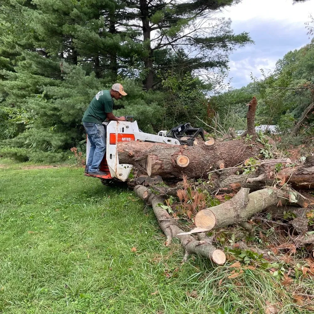 Professional lawn mowing service with custom design in Westminster, MD by Bad Junk & Take It Easy Lawn Service