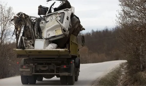 Bad Junk & Take It Easy Lawn Service Logo