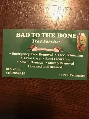 Bad to the Bone Tree Service
