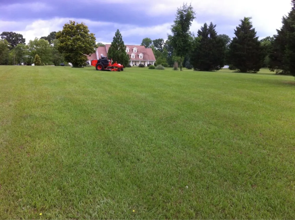 Reliable lawn care service for residential properties across Batesville, AR - BadBoy Mowers
