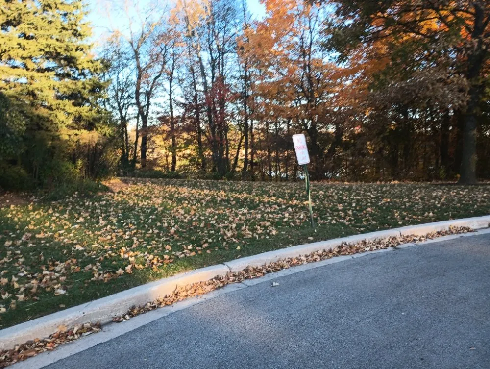 Top-rated landscaping services with custom design in Sturtevant, WI by BadCo Removal