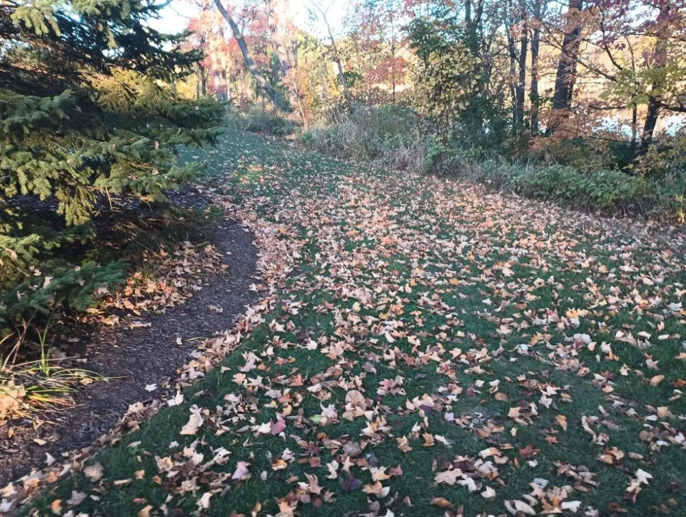 Custom landscape installation experts serving Sturtevant, WI - BadCo Removal