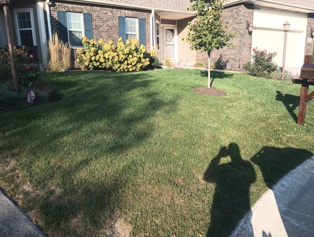 Top-rated landscape installation for year-round maintenance in Sturtevant, WI by BadCo Removal
