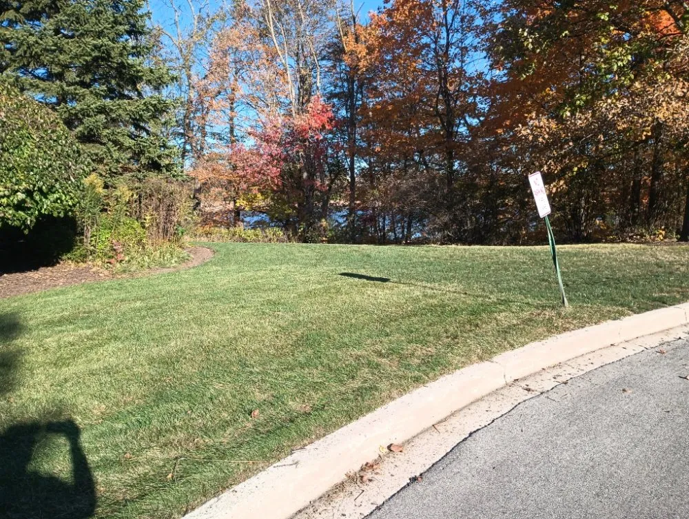 Reliable lawn care service experts serving Sturtevant, WI - BadCo Removal