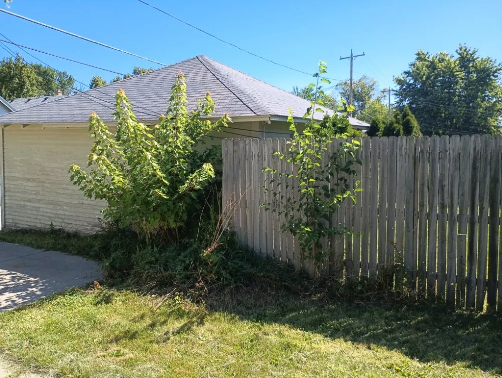 Expert lawn mowing service experts serving Sturtevant, WI - BadCo Removal