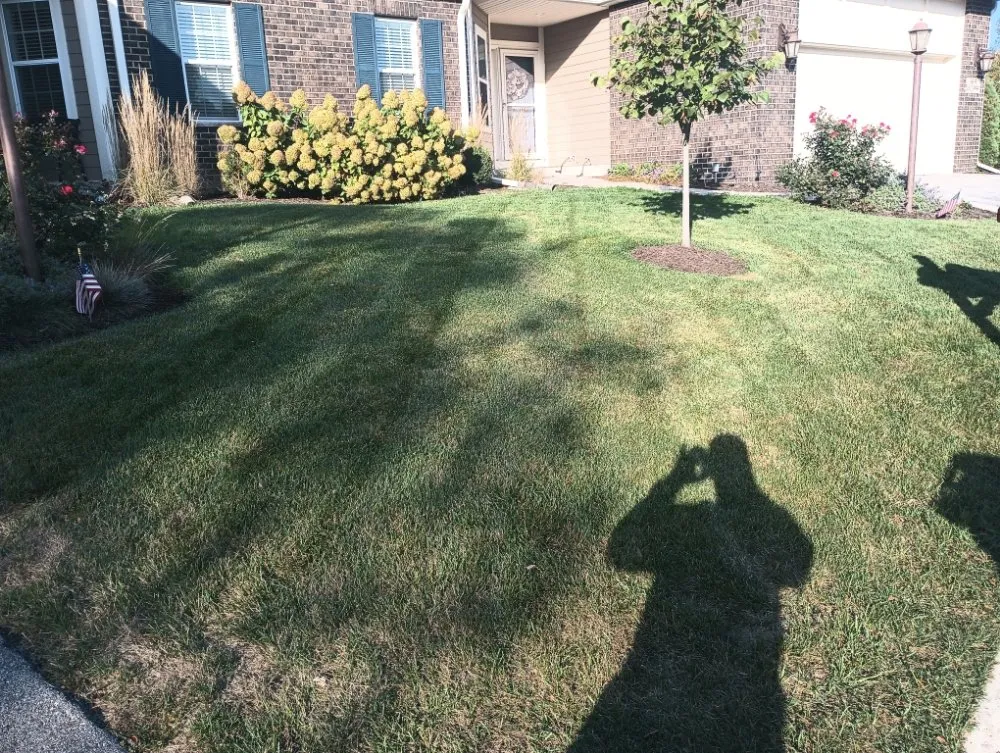 Expert landscape installation in Sturtevant, WI by BadCo Removal