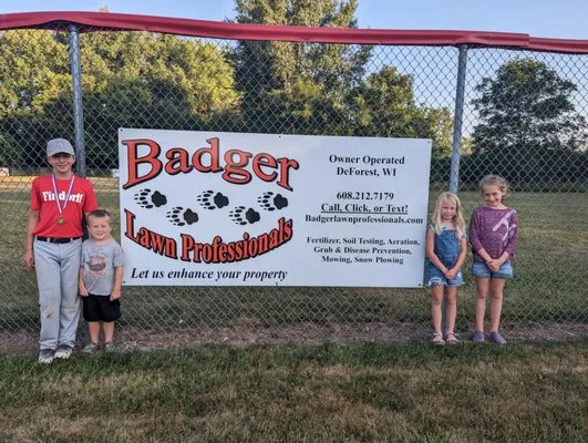 Badger Lawn Professionals