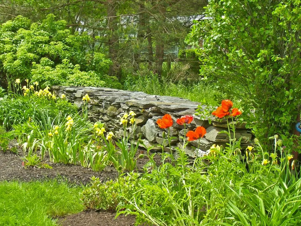 Reliable landscape installation in Friendship, ME - Badgewick Design