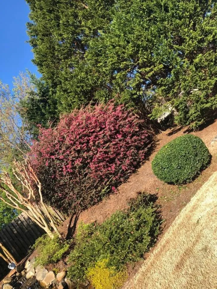 Affordable outdoor landscaping in Douglasville, GA - Badillo’s Landscaping
