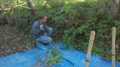 Affordable landscape installation for year-round maintenance across Sebastopol, CA - Baelin