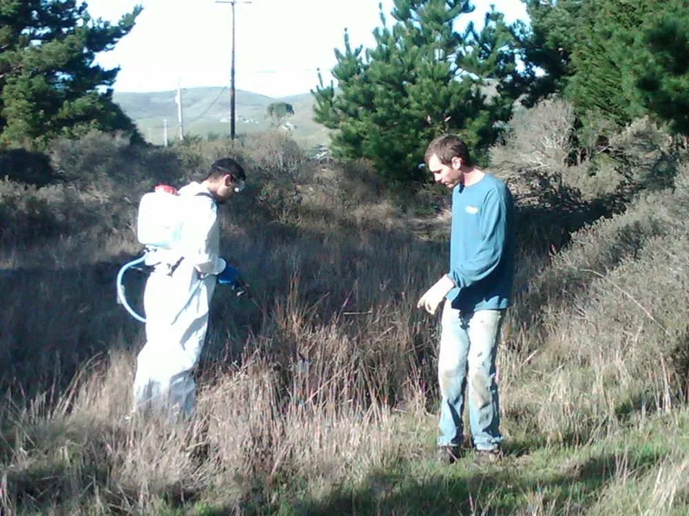 Expert yard maintenance for outdoor upgrades across Sebastopol, CA - Baelin