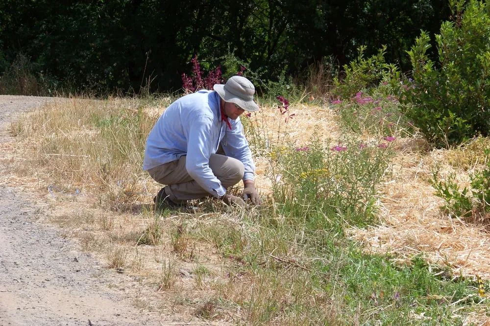 Top-rated outdoor landscaping for outdoor upgrades in Sebastopol, CA by Baelin