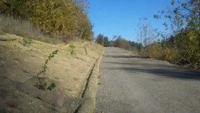 Top-rated landscape design near you in Sebastopol, CA by Baelin