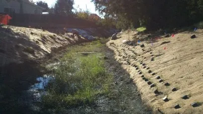 Reliable residential landscaping for year-round maintenance in Sebastopol, CA by Baelin