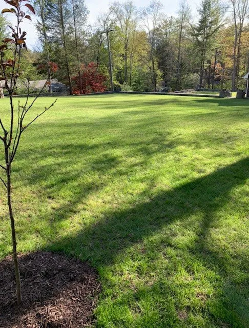 Top-rated lawn mowing service experts serving White Lake, NY - Baer Landscaping