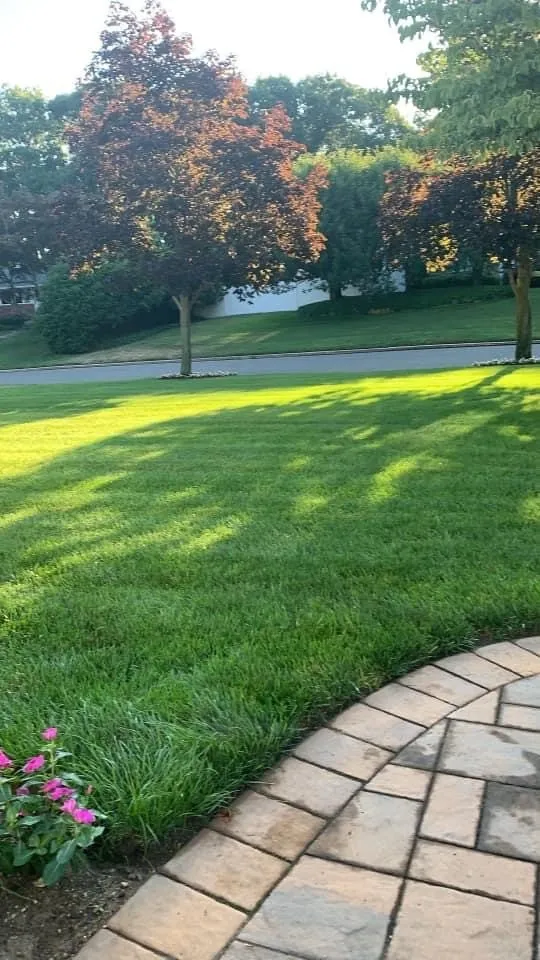 Professional outdoor landscaping in White Lake, NY - Baer Landscaping