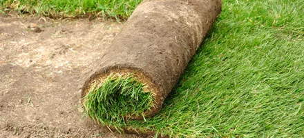 Trusted lawn care service for beautiful yards in Carlisle, PA by Baers Custom Maintenance