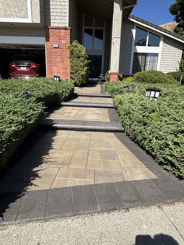 Custom yard maintenance in San Jose, CA by Baez Concrete and Demolition