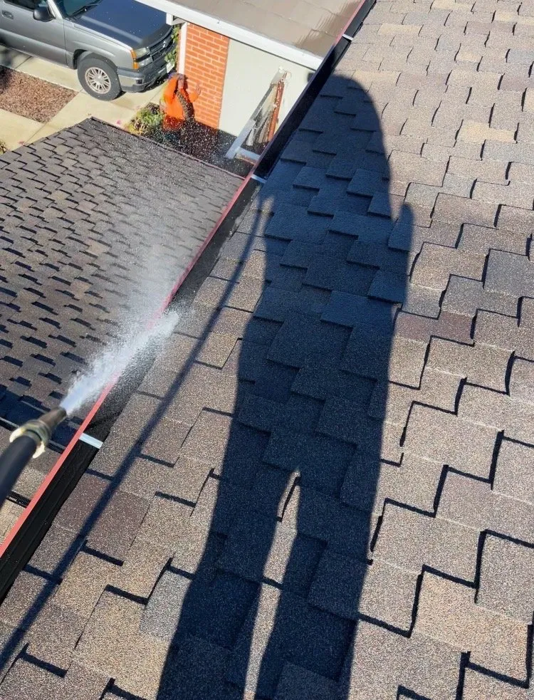 Local yard cleanup service experts serving Menlo Park, CA - Baez Landscaping